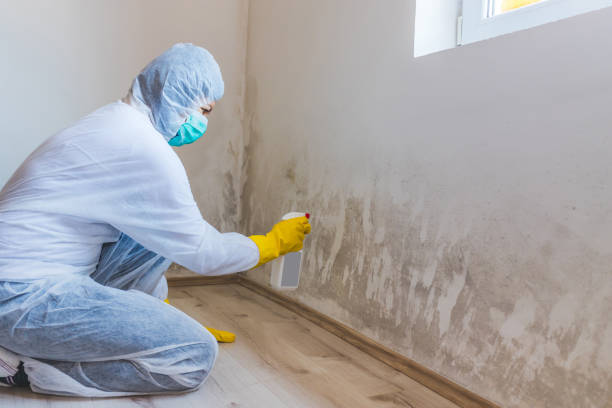 Licensed Mold Testing service in Johnstown, NY - WQB Mold Removal