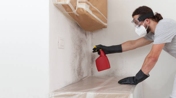 Professional Mold Testing technician working in Johnstown, NY
