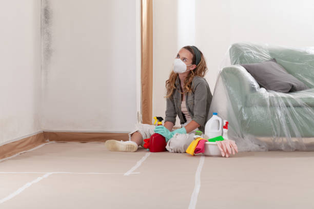 Reliable Mold Testing contractor in Johnstown, NY by WQB Mold Removal